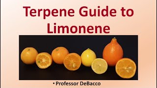 Terpene Guide to Limonene [upl. by Sakmar]