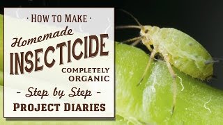 ★ How to Make Homemade Insecticide Complete Step by Step Guide to Killing Garden Pests amp Insects [upl. by Akinert]