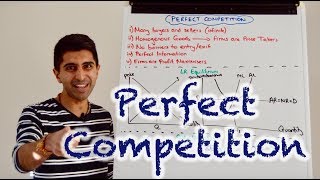 Y2 13 Perfect Competition [upl. by Nilek]