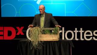 Cows Carbon and Climate  Joel Salatin  TEDxCharlottesville [upl. by Garnet]