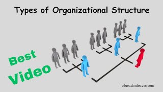 Types of Organizational Structure in management [upl. by Giuditta]