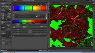 Leica Confocal Video Manual [upl. by Namus]