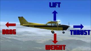 The Aerodynamics of Flight [upl. by Resee]