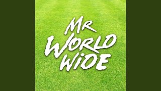 Mr Worldwide [upl. by Tevis]