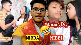 Valentines Day Nibba Nibbi Love [upl. by Aligna]