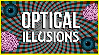 How and Why do Optical Illusions Work [upl. by Enneirda]