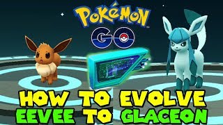 HOW TO GET GLACEON IN POKEMON GO  EEVEE TO GLACEON EVOLUTION  GLACIAL LURE [upl. by Sheffield941]