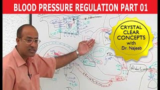 Hypertension  Blood Pressure  Part 14 [upl. by Philoo]