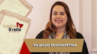 Explica Direito Filiação Socioafetiva  2019 [upl. by Aniram292]