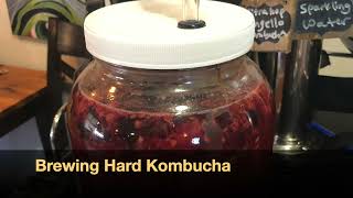 Brewing Hard  Alcoholic Kombucha [upl. by Luciana]