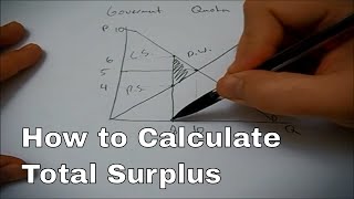 How to calculate total surplus [upl. by Atineb840]