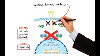 Pharmacology  CANCER DRUGS – CELL CYCLE INHIBITORS MADE EASY [upl. by Lamp]