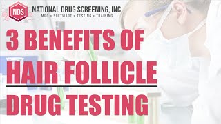 3 Benefits of Hair Follicle Drug Testing [upl. by Ackley204]