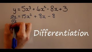 Differentiation [upl. by Llekram]