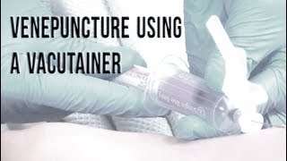 Venepuncture Using a Vacutainer [upl. by Enelrae]