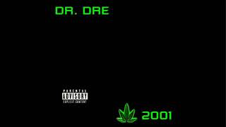 Dr Dre Ft Snoop DoggThe Next Episode Audio [upl. by Yllut842]