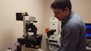 Confocal Microscopy Tutorial Part 1 Getting Started  Basic Operation [upl. by Thynne]