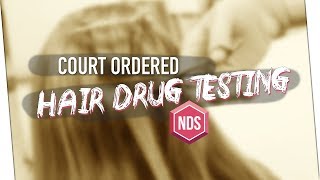 CourtOrdered Hair Testing Options Hair Follicle Testing [upl. by Ennayrb]