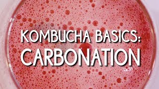 Kombucha Basics Carbonation [upl. by Ulane]