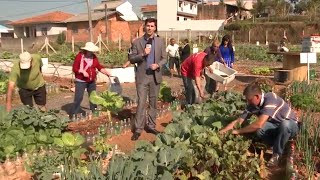 Horta comunitária une famílias em Palhoça [upl. by Notse238]