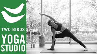 60 Minute Beginner Yoga  Slow Flow Vinyasa [upl. by Tloc]