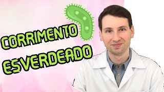 CORRIMENTO ESVERDEADO o que é causa sintomas TRATAMENTO [upl. by Els]