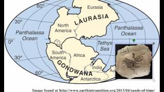 Evidence of Continental Drift [upl. by Loss]