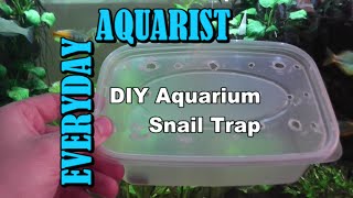 How To Make DIY Aquarium Snail Trap [upl. by Yablon]