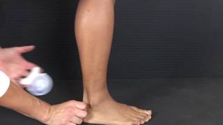 Closed Chain Dorsiflexion [upl. by Drescher]