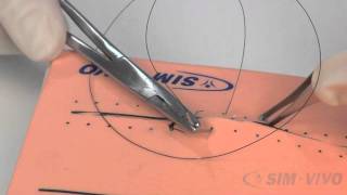 SIM SUTURE  5 Running Simple Sutures [upl. by Llewen]