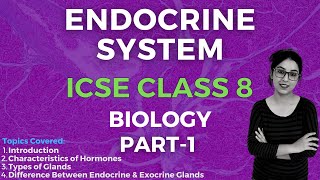 Endocrine System  ICSE CLASS 8 Biology  Part  1 [upl. by Ignatia]