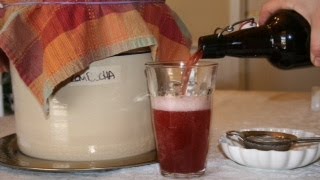 How to Make Fizzy Kombucha at Home [upl. by Ennovehs]