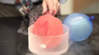 Pressure Demo Balloons in Liquid Nitrogen [upl. by Tdnaltroc]