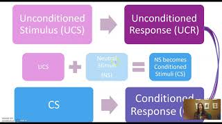 Conditioned vs Unconditioned Stimulus and Response [upl. by Ahiel736]