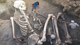 BIGGEST Real Life Skeletons Unearthed [upl. by Sapowith]