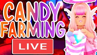 PLAYING THE NEW HALLOWEEN UPDATE AND CANDY FARMING ROBLOX Royale High Live [upl. by Irehc]