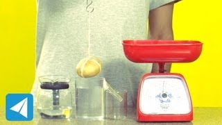 Archimedes Principle demonstration  Buoyancy  Physics [upl. by Alica]