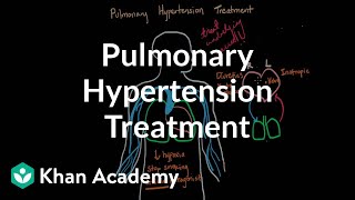 Pulmonary hypertension treatment  Respiratory system diseases  NCLEXRN  Khan Academy [upl. by Mariam]