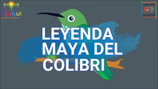 LEYENDA MAYA DEL COLIBRI  CUENTOS DE LEYENDA [upl. by Karalee]