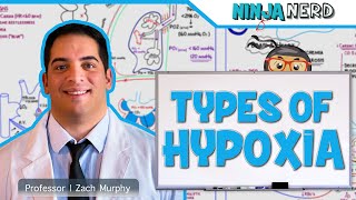 Respiratory  Types of Hypoxia Hypoxemic  Anemic  Stagnant  Histotoxic [upl. by Azirb747]