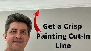 Paint Edging ToolFor Perfect Paint Lines [upl. by Schroth353]