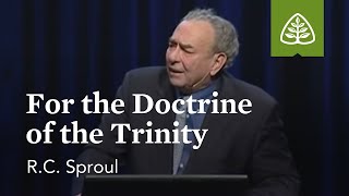 RC Sproul For the Doctrine of the Trinity [upl. by Aniwde]