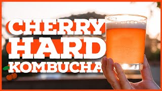 HARD KOMBUCHA How to Make Kombucha With Alcohol [upl. by Ramso]