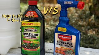 The BEST Insect Killer For Your Lawn  Bioadvanced Complete Insect Killer [upl. by Luigino55]