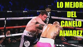 los 25 Mejores Golpes del Canelo Alvarez [upl. by Deacon]