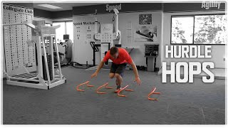 Single Leg MiniHurdle Hop  Balance amp Plyometric Workout [upl. by Elades83]