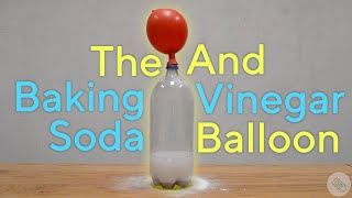 Baking Soda  Vinegar Balloon Experiment [upl. by Oah586]