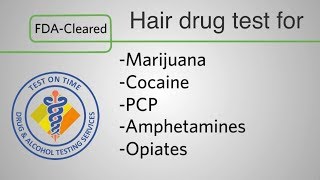 Hair testing for drugs [upl. by Ameehs]