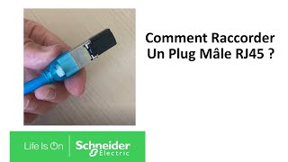 Comment raccorder un plug mâle RJ45   Schneider Electric [upl. by Hieronymus]