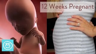 12 Weeks Pregnant What You Need To Know  Channel Mum [upl. by Ahcila624]